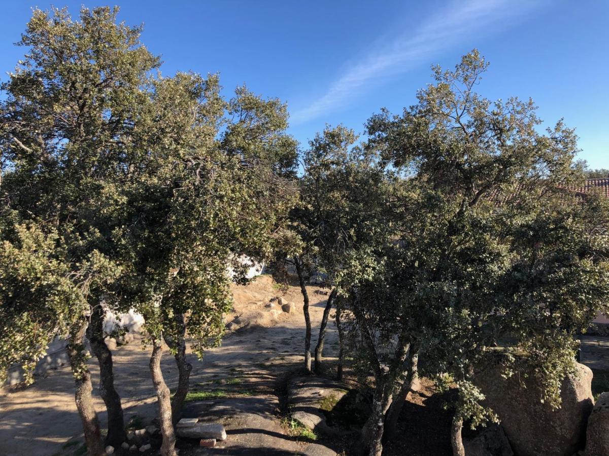 Finca El Olivo Ituero y Lama Экстерьер фото